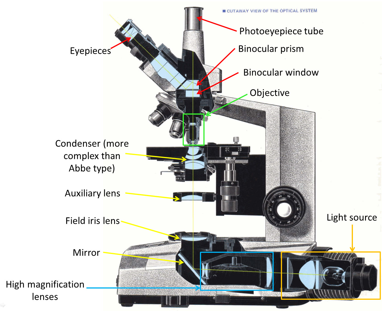 Fluorescent Microscope Diagram